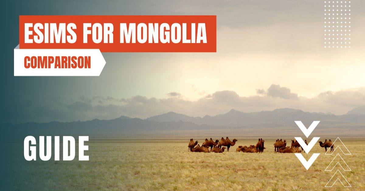 몽골 최고의 esim 추천 이미지
