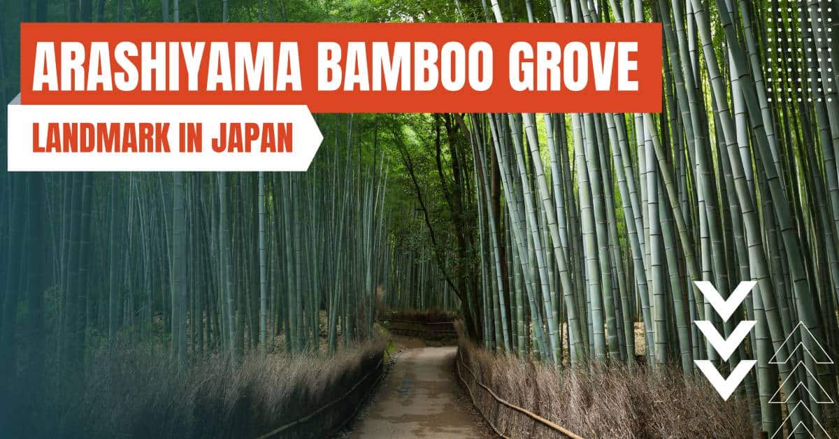 landmark in japan arashiyama bamboo grove