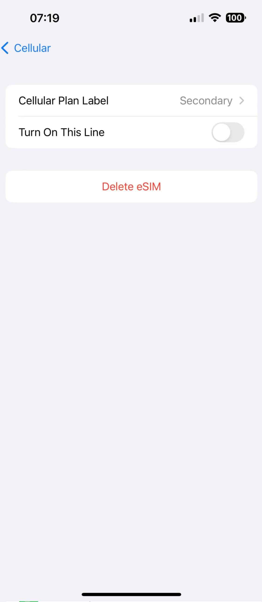 how to remove esim from iphone step 3 scaled